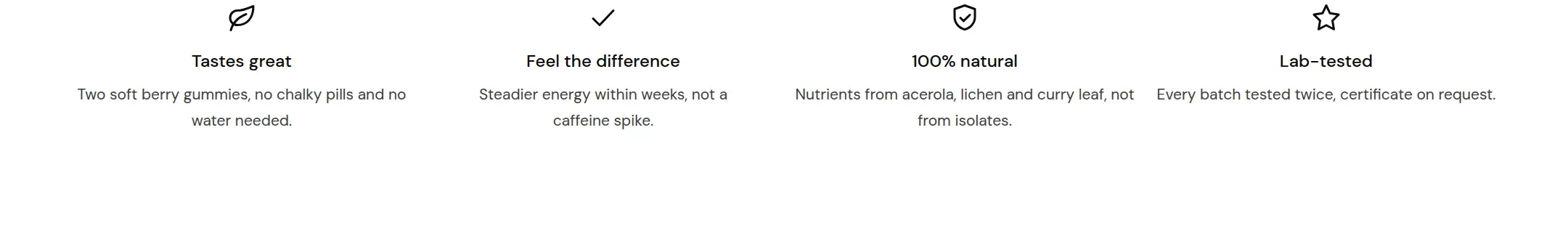 Four columns with icons under the home page promise.